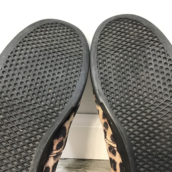 Cheetah Vans - Picture 4 of 4